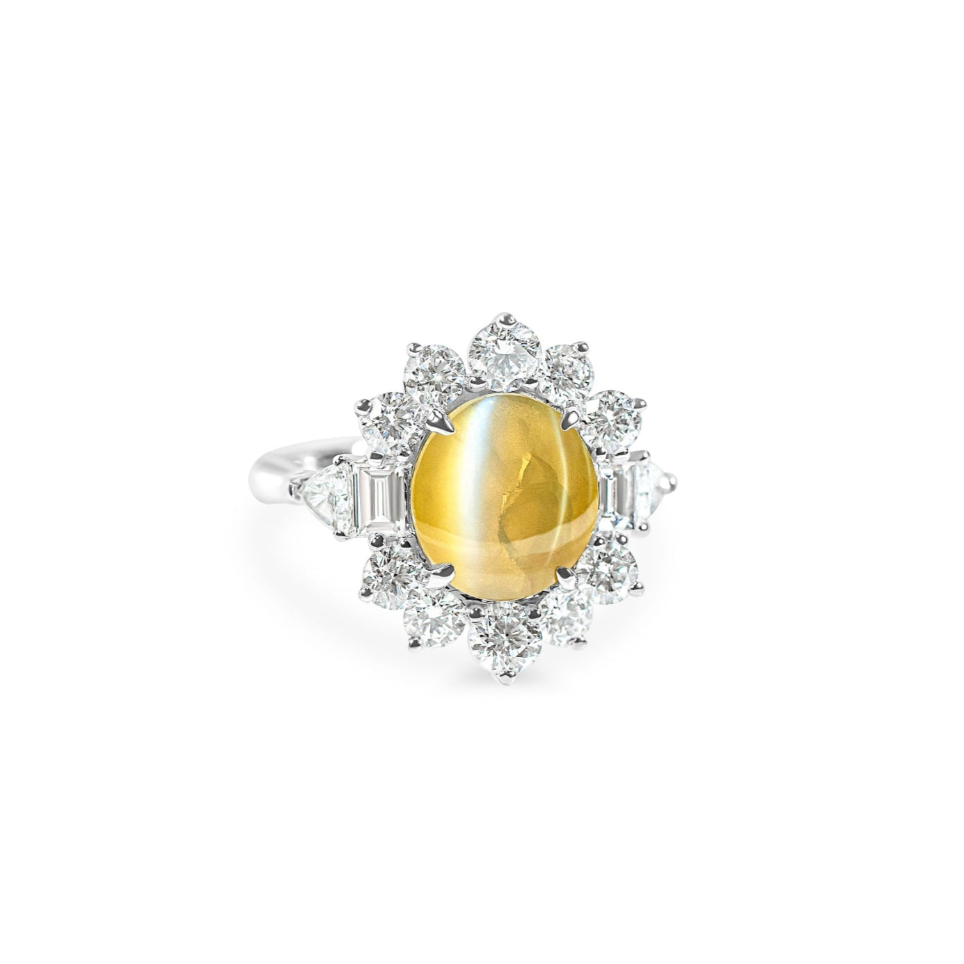 "Sirenis" Chrysoberyl Cat Eye & Diamond Halo Ring in Platinum