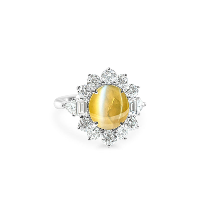 "Sirenis" Chrysoberyl Cat Eye & Diamond Halo Ring in Platinum