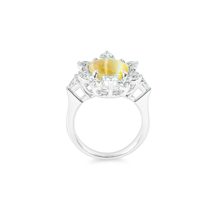 "Sirenis" Chrysoberyl Cat Eye & Diamond Halo Ring in Platinum